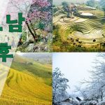 베트남기후